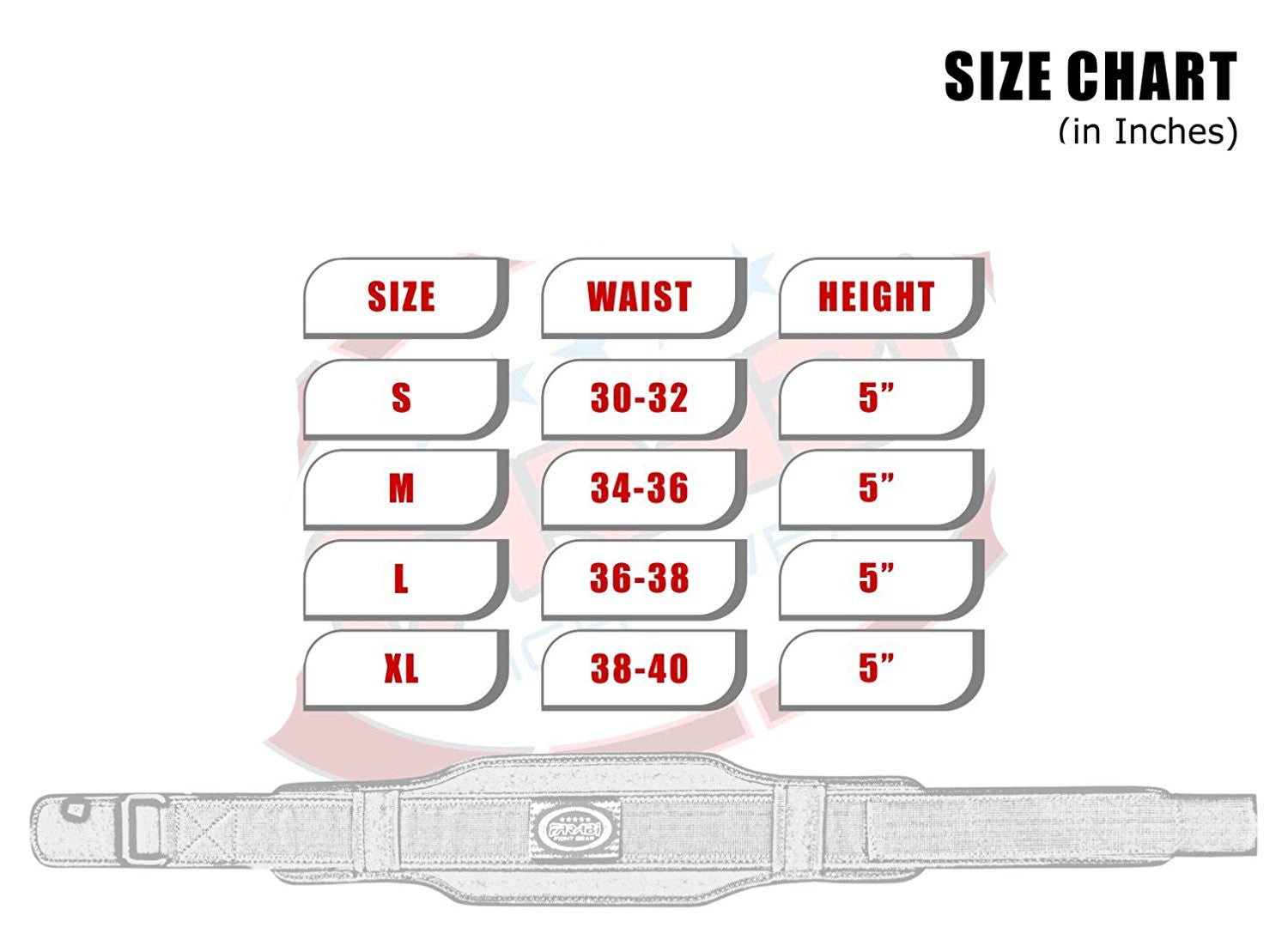 Fitness Back support Weight Lifting Belt Gym Training Workout Body Building 6" Farabi Sports