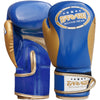 Farabi Kids Boxing Gloves MMA Muay Thai Sparring Training Punching Mitts Farabi Sports